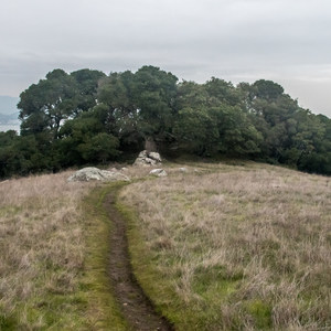 Ring Mountain Preserve Hike