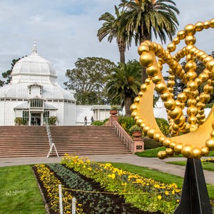 Conservatory of Flowers