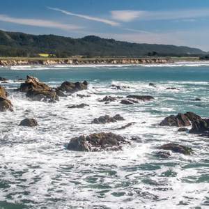 Año Nuevo State Park