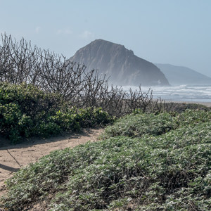 Morro Strand Campground