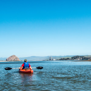 Morro Bay State Reserve