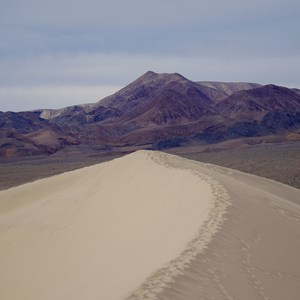 Eureka Dunes