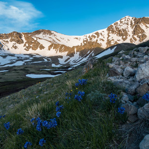 Grays Peak + Torreys Peak