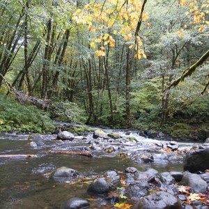 Oregon Fall Photo Contest