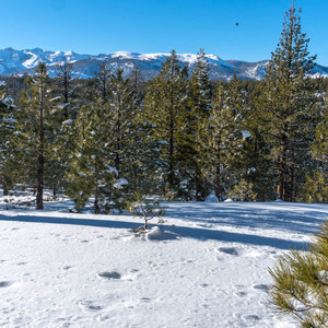 Mammoth Scenic Loop Snowshoe
