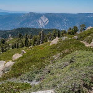 San Bernardino Peak via Angelus Oaks