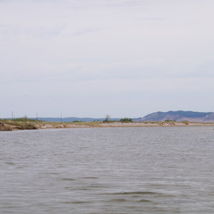 Lower Platte River: M-22 Bridge to Lake Michigan