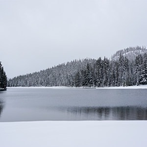 Todd Lake Cross-country Ski + Snowshoe