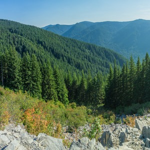 Wildcat Mountain via Douglas Trail