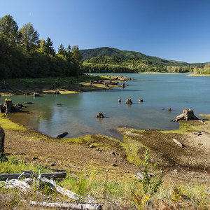 Alder Lake Park Campground