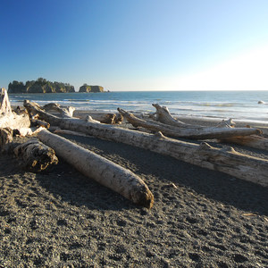 Rialto Beach