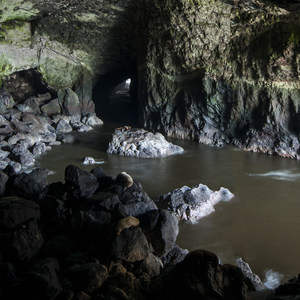 Sea Lion Caves