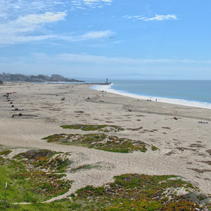 Seabright Beach
