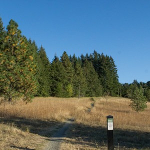 Ridgeline Trail System: Blanton Trailhead