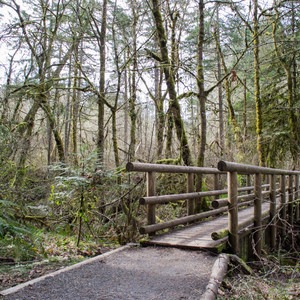 Ridgeline Trail System: Martin Street Trailhead to Fox Hollow Trailhead