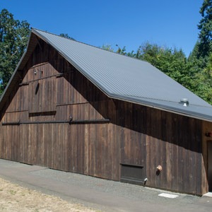 Beazell Memorial Forest