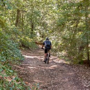 El Corte de Madera Creek Preserve