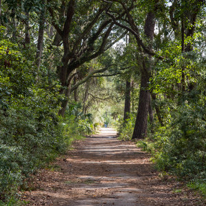 Skidaway Island State Park