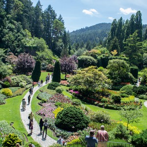 The Butchart Gardens