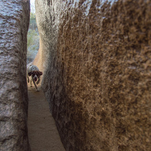 Fat Man's Pass via National Trail