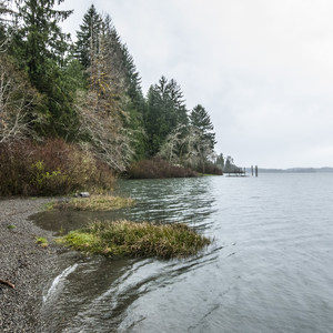 Lake Quinault, Gatton Creek Campground