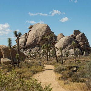 Cap Rock Nature Trail