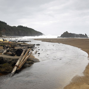 Fogarty Creek State Recreation Site