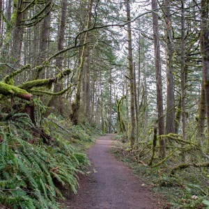 Ridgeline Trail System: Fox Hollow Trailhead
