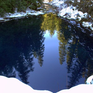 McKenzie River Trail: Trail Bridge to Tamolitch Pool