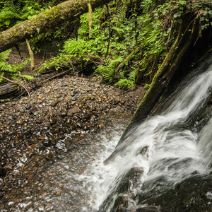 Paradise Point Hiking Trail System