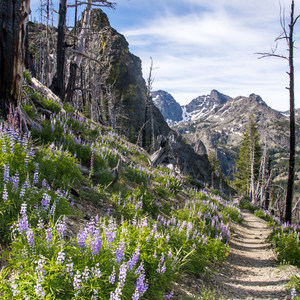 Seven Devils: Windy Saddle to Sheep Lake