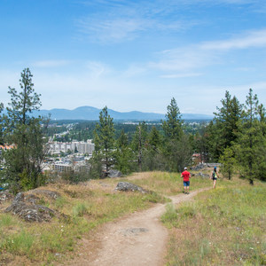 Tubbs Hill Hiking Trails