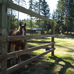 Hares Canyon Horse Camp
