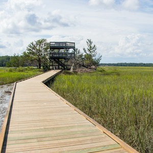 Big Ferry Loop + Observation Tower