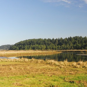 Griffiths-Priday State Park