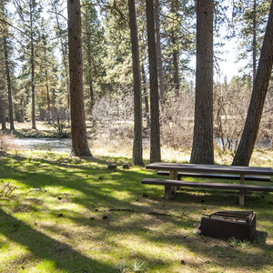 Allingham Campground