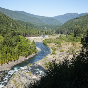 Elwha River Trail, Goblin Gates + Humes Ranch Loop