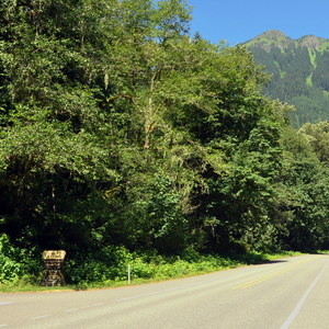 Douglas Fir Campground
