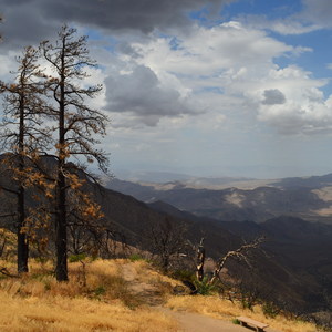 Laguna Mountain Recreation Area