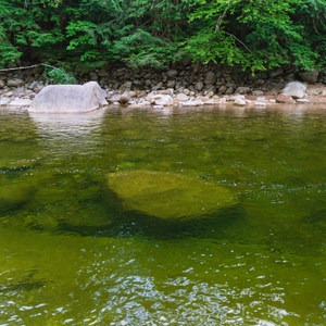 Lady's Bathtub Swimming Area