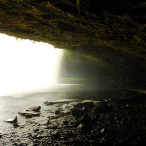 Butte Creek Falls Hike