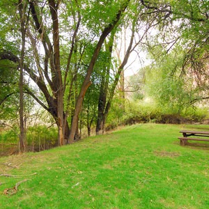 Shady Grove Recreation Site