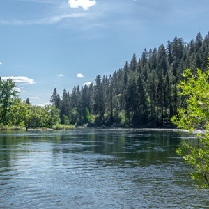 Plantes Ferry Park Swimming Hole
