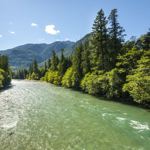 Goodell Creek Campground + Group Sites