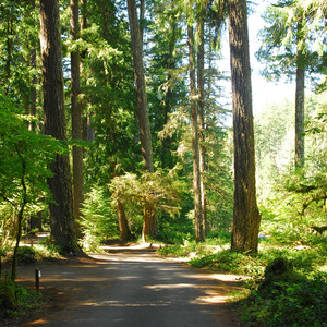 La Wis Wis Campground