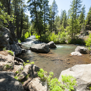 Upper Whychus Creek Trail
