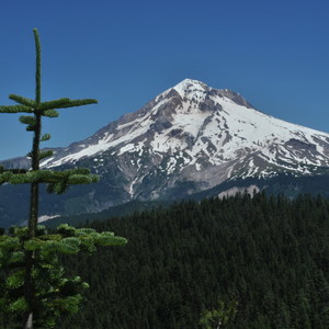 Zig Zag Mountain via the Horseshoe Ridge Trail