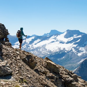 Mount Reynolds Summit