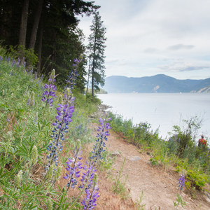 Beaver Bay Shoreline Trail