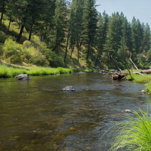 Ritter Road Swimming Hole